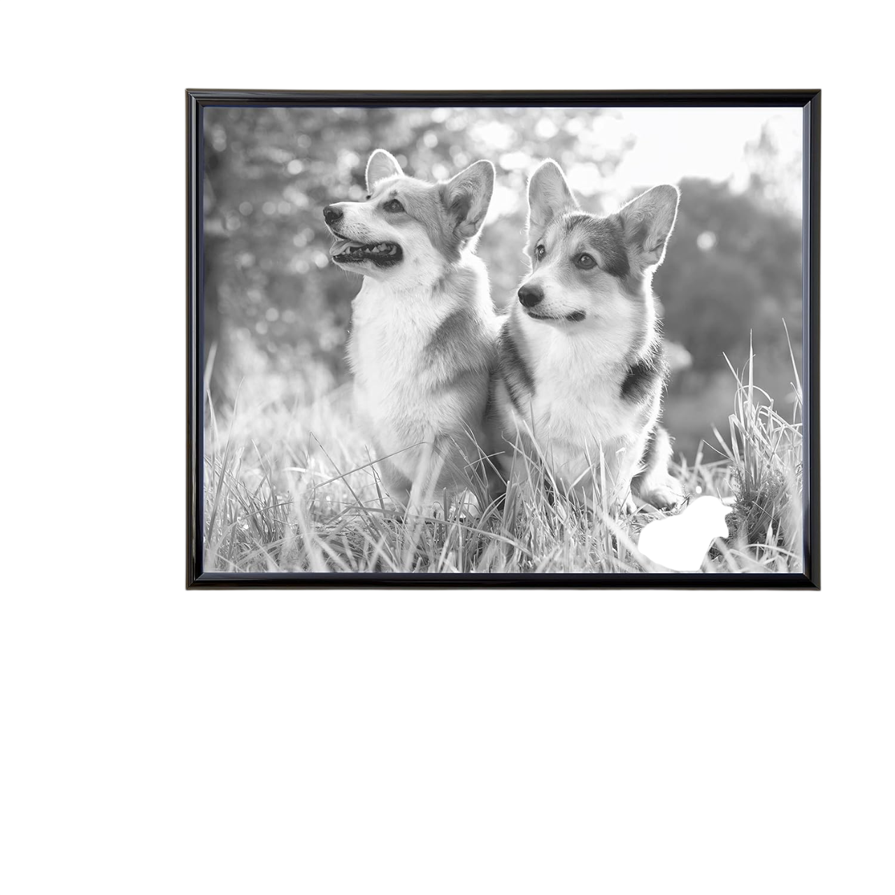 22” x 28” Plastic Poster Frame